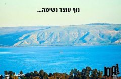 וילה דה ויו