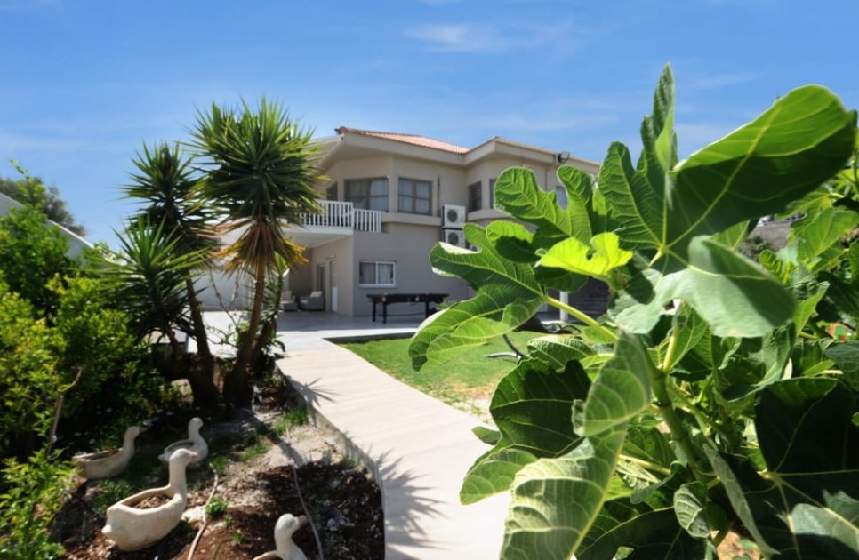 estate merlot_vila_256_359746_vWj6R9A.jpg