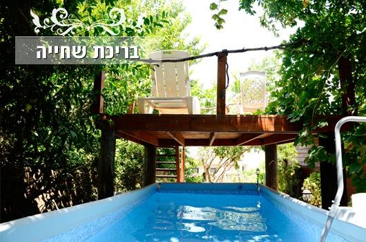ofir_vila_55_1171_RKM6fsW.jpg