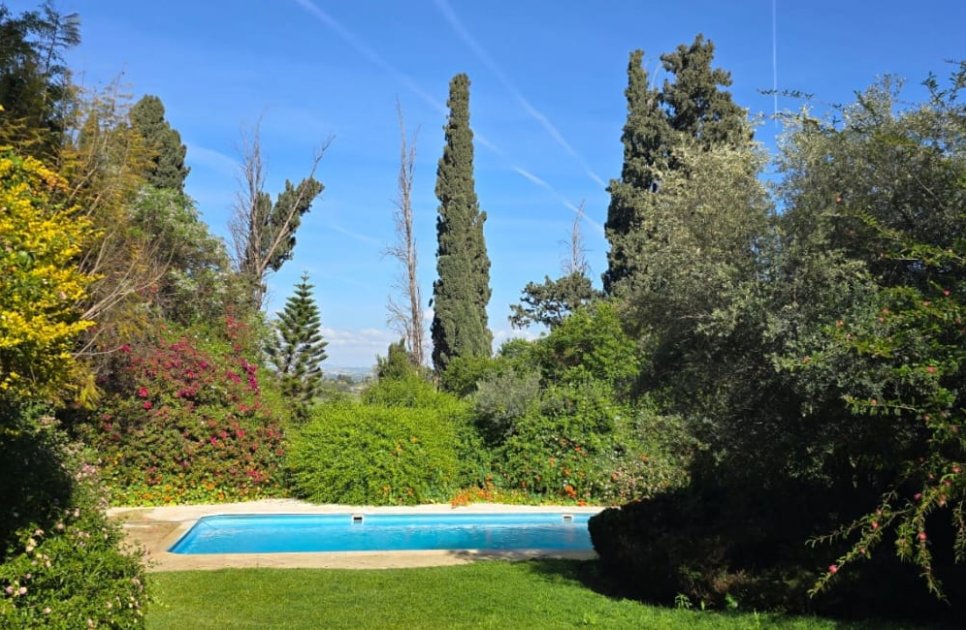 Benny Botanics_vila_924_368328_uWnfCrk.jpg